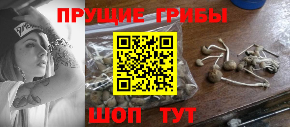 Псилоцибиновые грибы MAGIC MUSHROOMS  Псилоцибиновые грибы мухоморы  Октябрьский  Вход с VPN 