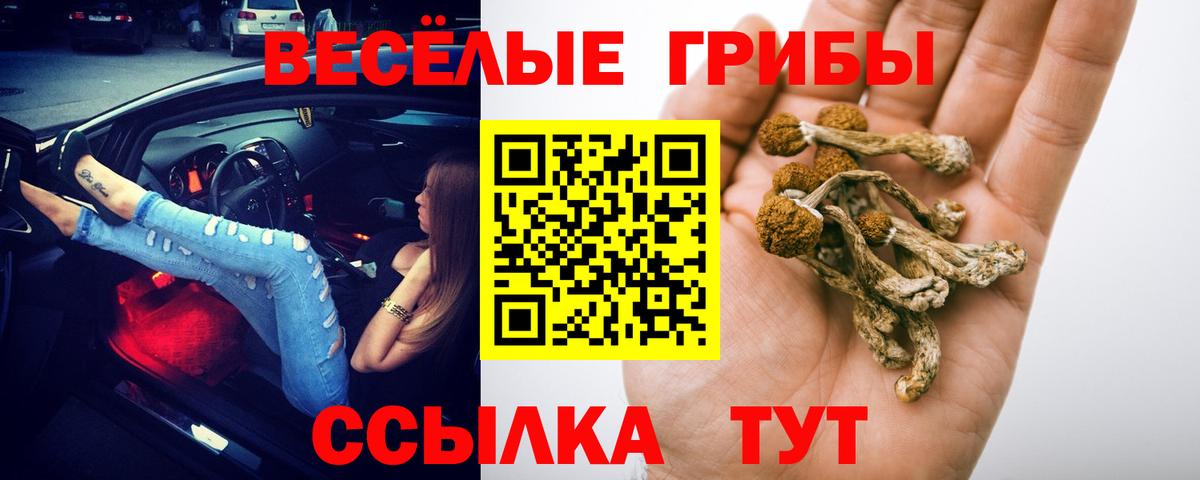 Псилоцибиновые грибы Magic Shrooms Октябрьский